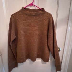 Ann Taylor Glitter Sweater